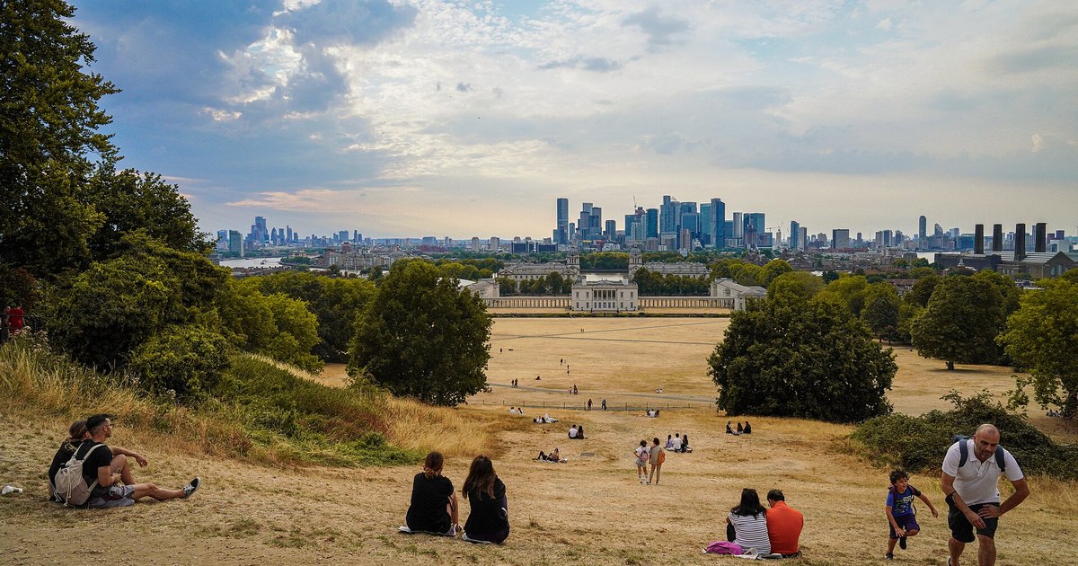 Scorched dry grass in Greenwich Park, London.