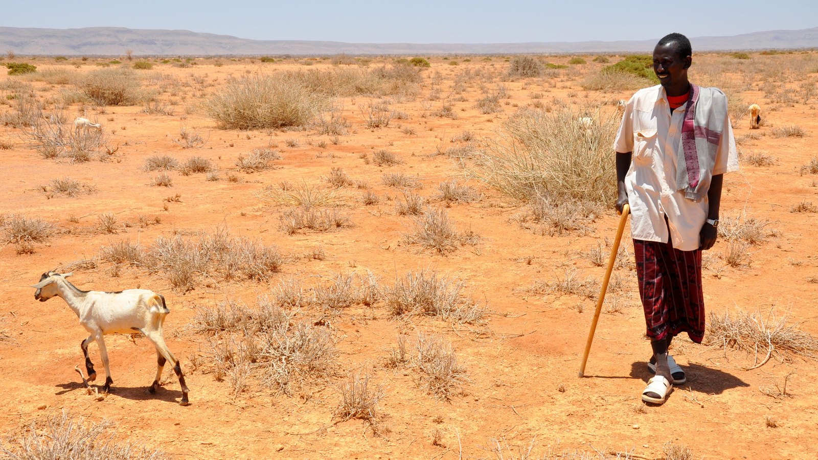 A drought-affected settlement in the Somali region of the Horn of Africa.