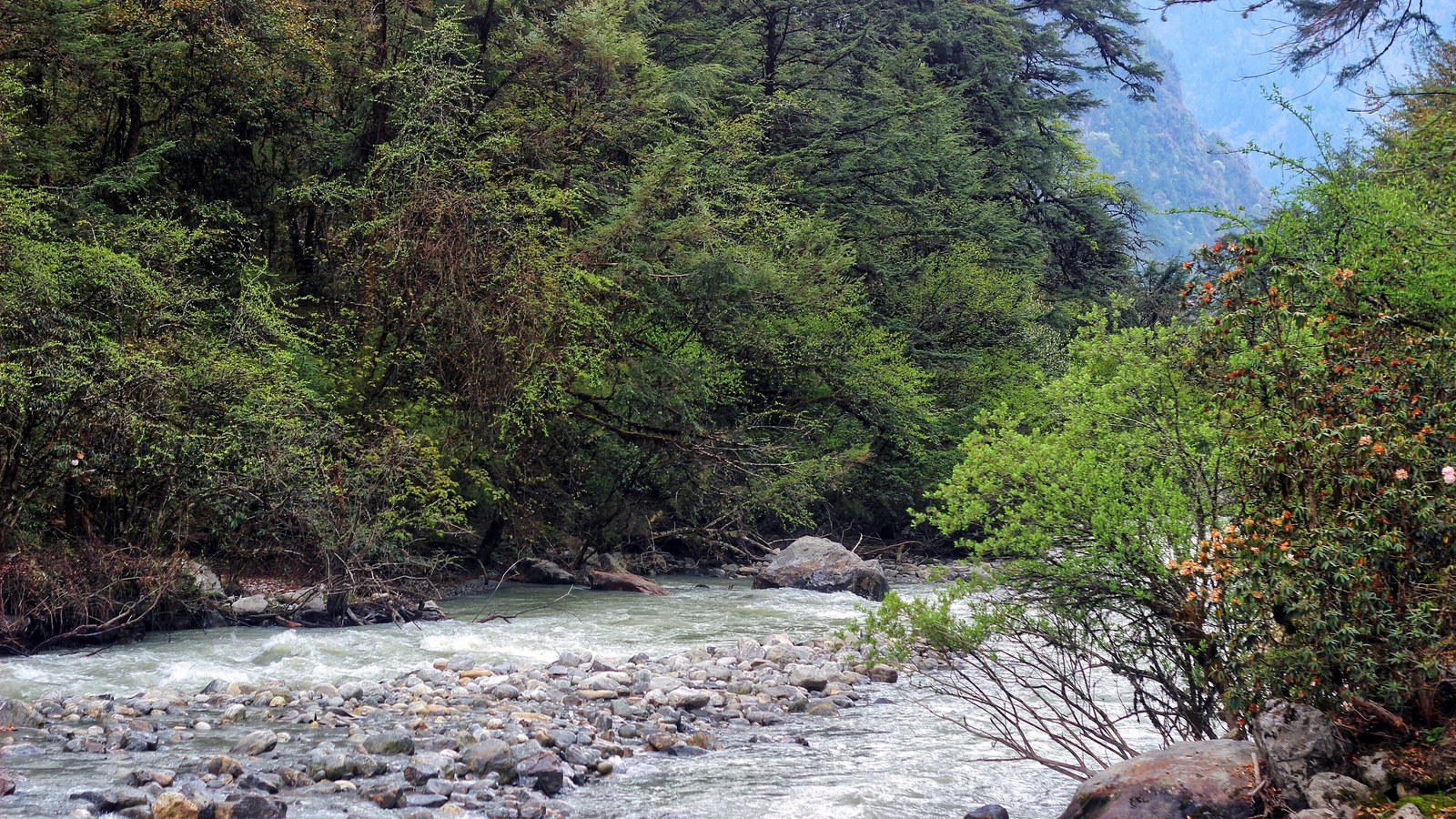 A mountain river runs through a Himalayan valley below steep slopes.