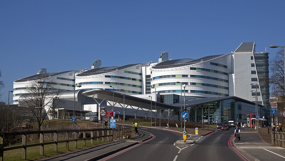 Queen Elizabeth Hospital Birmingham. The image is used as a general illustration of the NHS hospital system and is not connected to any individual discussed in this article.