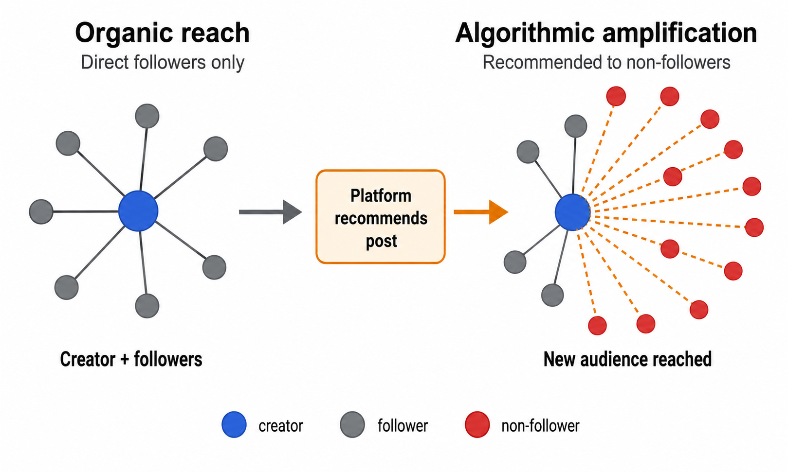 Conceptual diagram showing how an algorithmic recommendation system amplifies content from a creator to a wider audience.