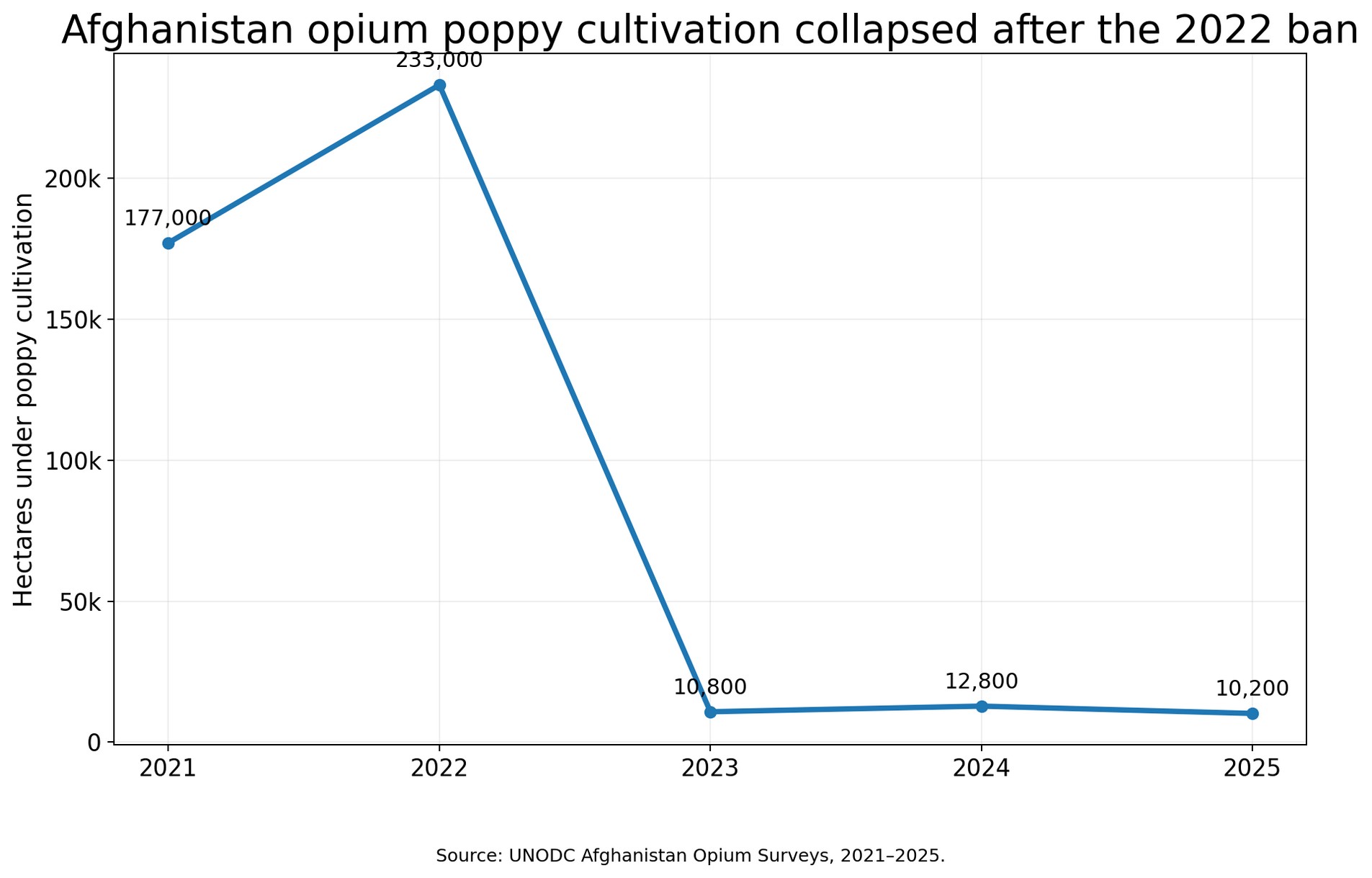 Line chart showing Afghanistan opium poppy cultivation falling from 233,000 hectares in 2022 to 10,800 in 2023, 12,800 in 2024 and 10,200 in 2025; 2021 is shown at 177,000 hectares.